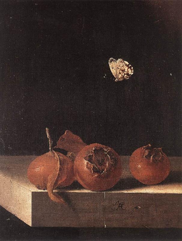 COORTE, Adriaen Three Medlars with a Butterfly zsdgf oil painting picture